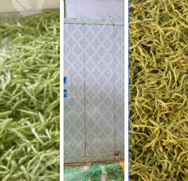 金銀花烘干機